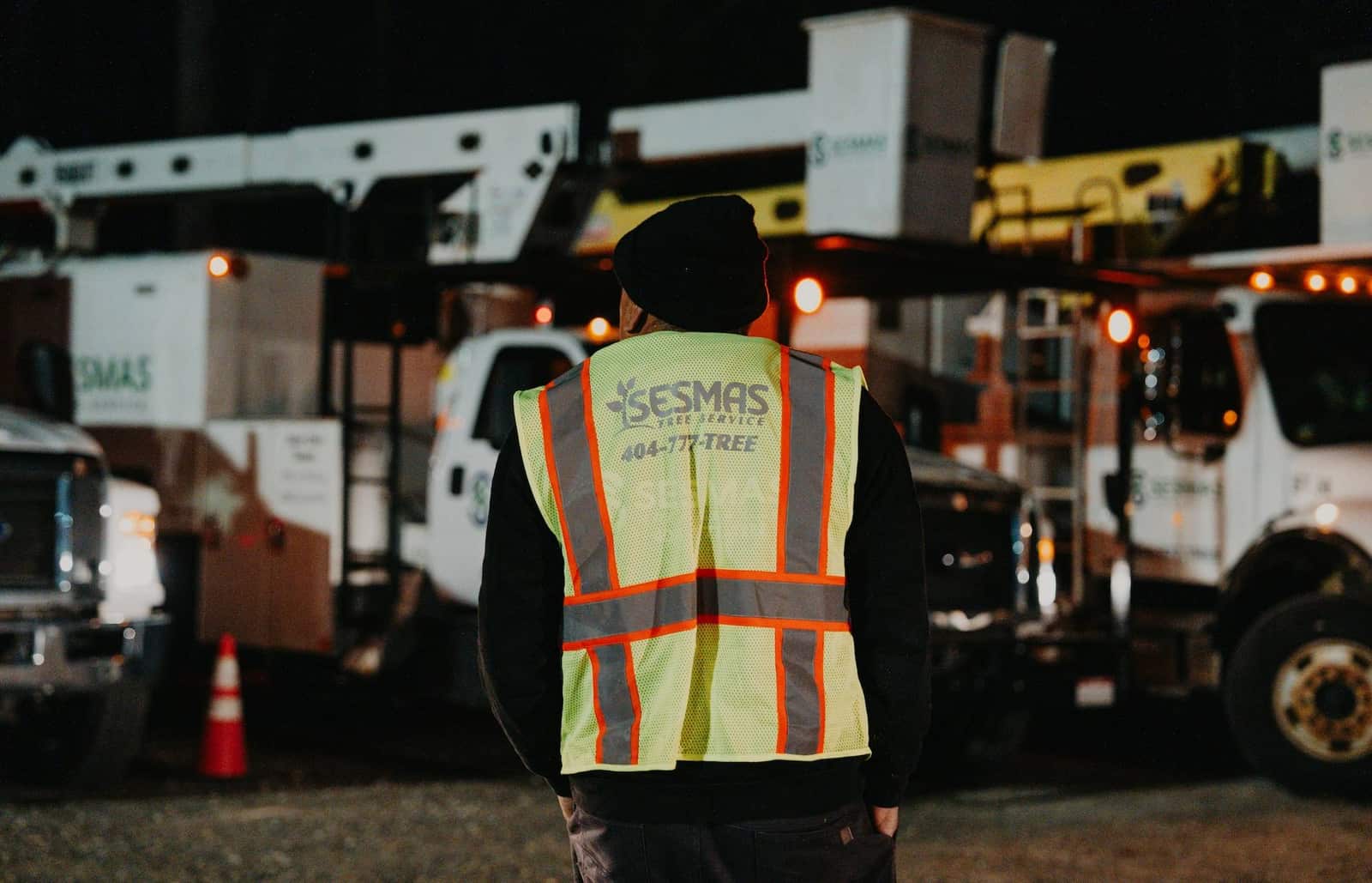 Tree service project completed by Sesmas